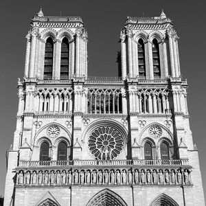 Meet your Posher, Maddy